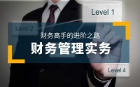管理層財務(wù)管理實務(wù)