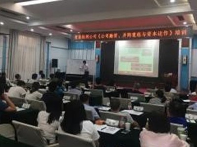 公司治理、國企混改與資本運作