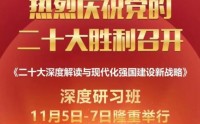 20大解讀與現(xiàn)代化強(qiáng)國建設(shè)新戰(zhàn)略深度研習(xí)班