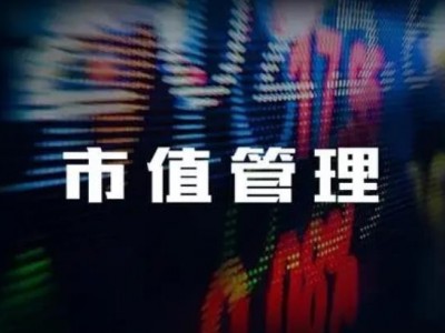 市值管理與實務(wù)