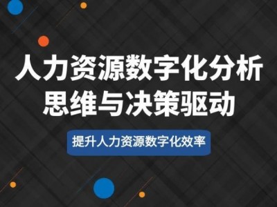人力資源數(shù)字化分析思維與決策驅(qū)動(dòng)