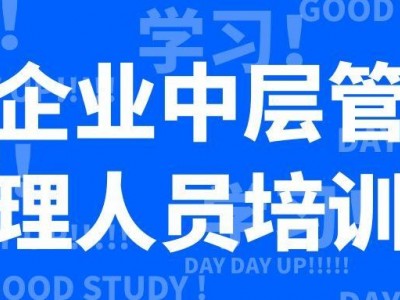 企業(yè)中層管理人員培訓(xùn)專題