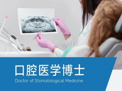 胡安卡洛斯國王大學CEDEU學院口腔醫(yī)學博士學位招生簡章