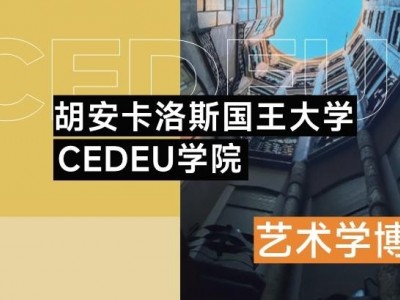 胡安卡洛斯國王大學CEDEU學院藝術(shù)學博士學位招生簡章
