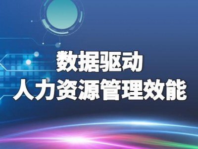 數(shù)據(jù)驅(qū)動人力資源管理效能
