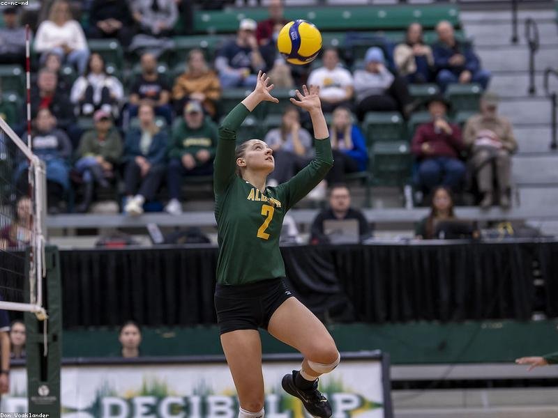 貝翰文大學(xué) MBA 全球商業(yè)精英校友網(wǎng)絡(luò) 配圖1