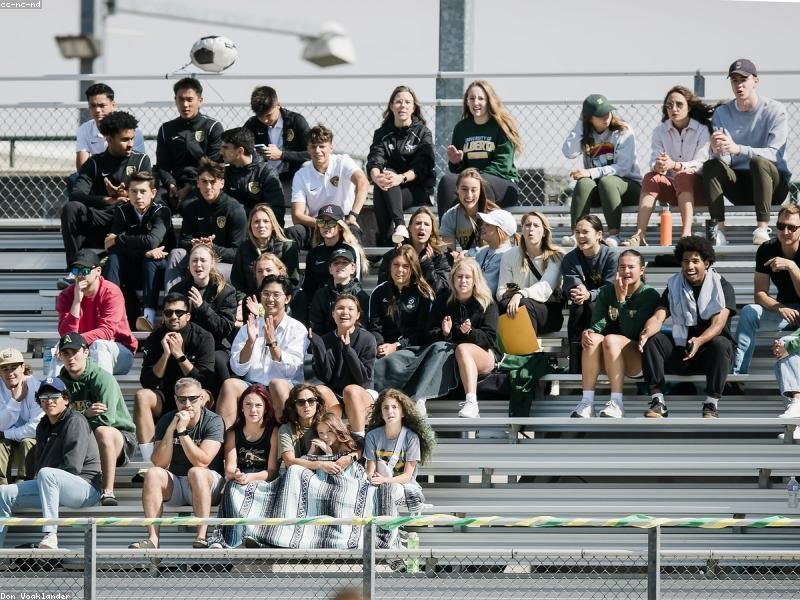 讀 DBA 能參與學(xué)術(shù)研究嗎？有發(fā)表論文的機(jī)會(huì)嗎？ 配圖2