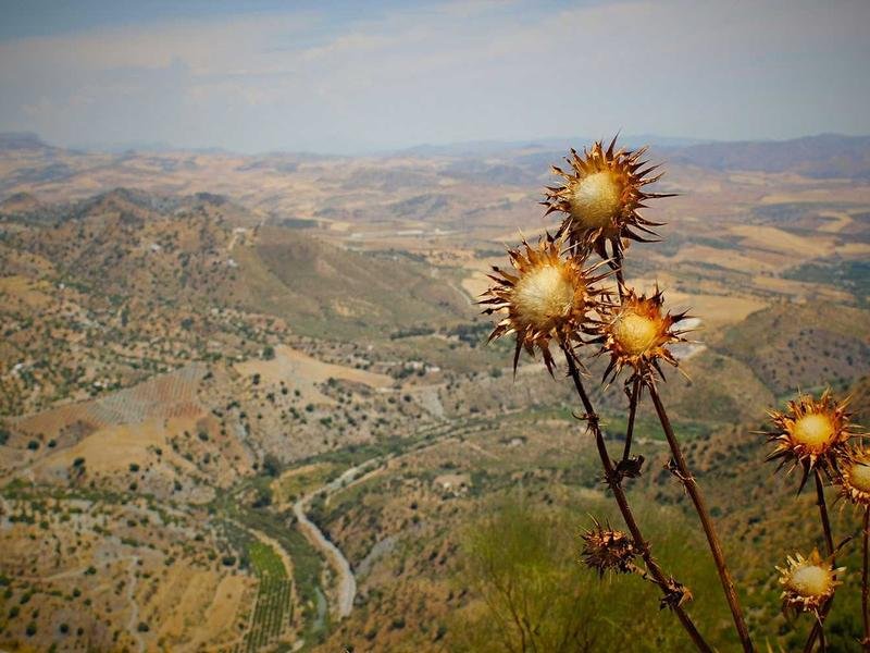 美國雪蘭多大學組織領導力博士適合哪些高管報考？ 配圖3
