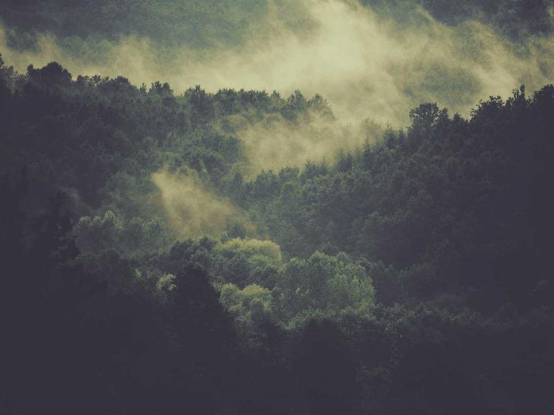 劍橋博士后適合公務(wù)員申請(qǐng)嗎？ 配圖2