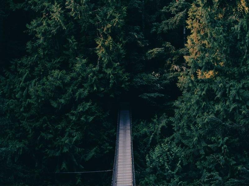 工商管理總裁班適合低空經(jīng)濟(jì)行業(yè)高管嗎？ 配圖2