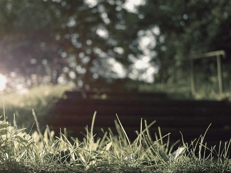 北清經(jīng)管高等研究院有企業(yè)內訓嗎？ 配圖1