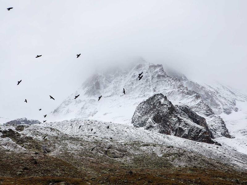 銷售培訓(xùn)新人入門攻略，銷售小白快速開單技巧 配圖1