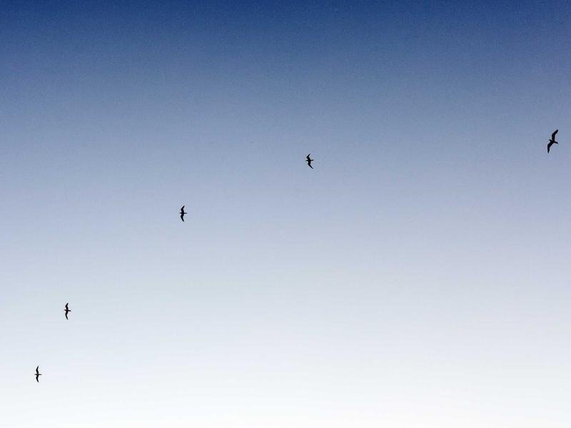 高層管理培訓(xùn)結(jié)業(yè)證書認(rèn)可度？權(quán)威分析 配圖2