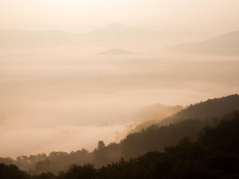 成人專科能考執(zhí)業(yè)藥師嗎？ 配圖1