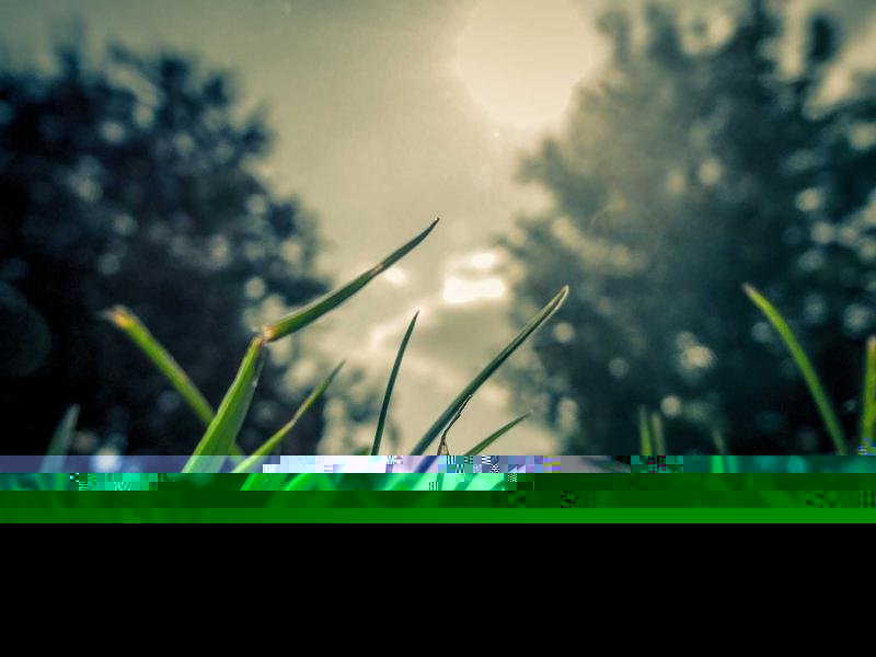 學(xué)歷提升不報(bào)機(jī)構(gòu)可以拿學(xué)位證嗎？ 配圖2