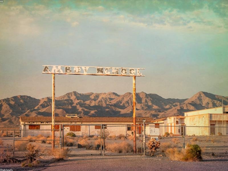 學(xué)歷提升不報(bào)機(jī)構(gòu)可以拿學(xué)位證嗎？ 配圖3