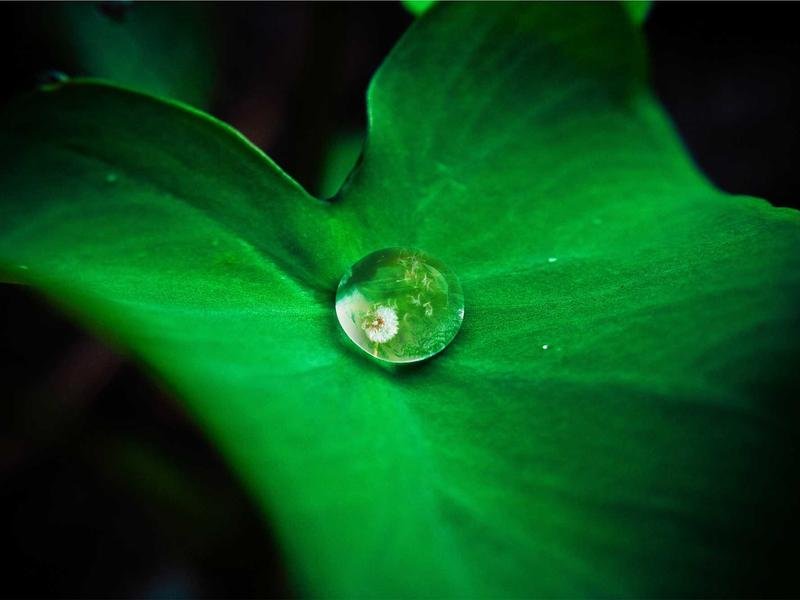 穆爾西亞大學(xué) MBA 適合 35 + 職場(chǎng)精英 配圖1