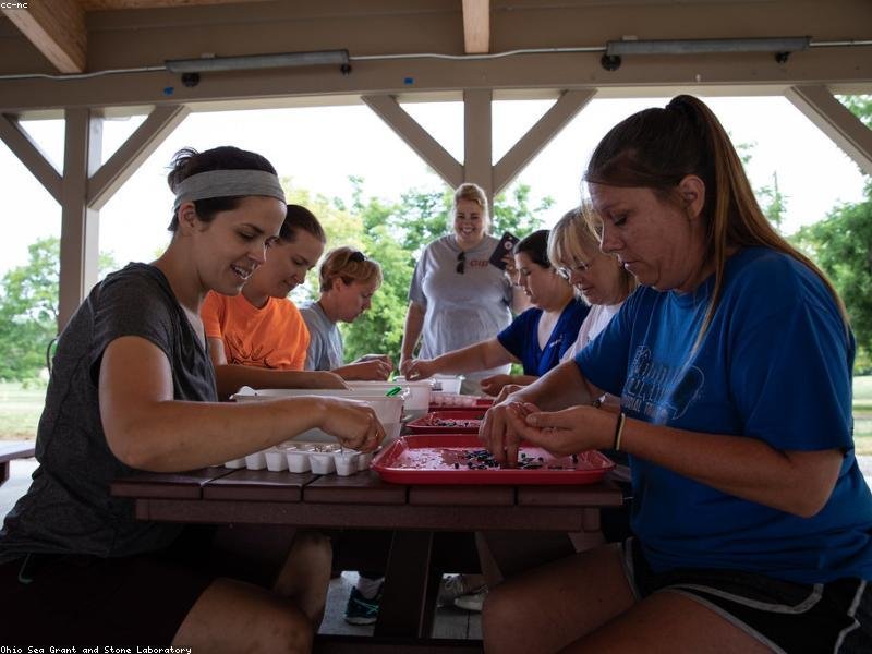 EMBA 學(xué)費(fèi)漲價(jià)后老學(xué)員無(wú)需補(bǔ)差價(jià)院校 配圖2