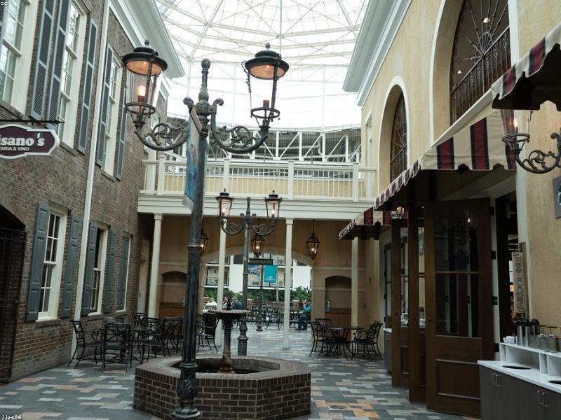 穆爾西亞大學(xué)應(yīng)用心理學(xué)博士：消費(fèi)者心理行為研究 配圖3