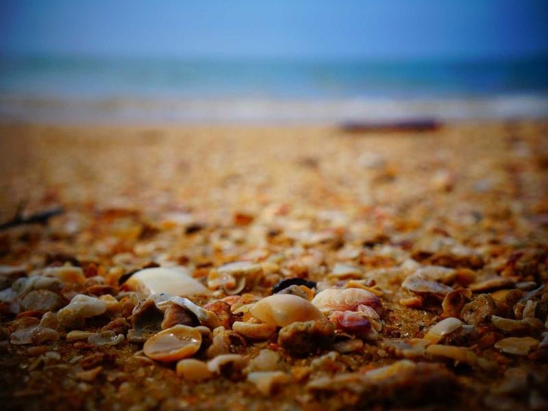 哈佛博士后適合投資人申請嗎？ 配圖1