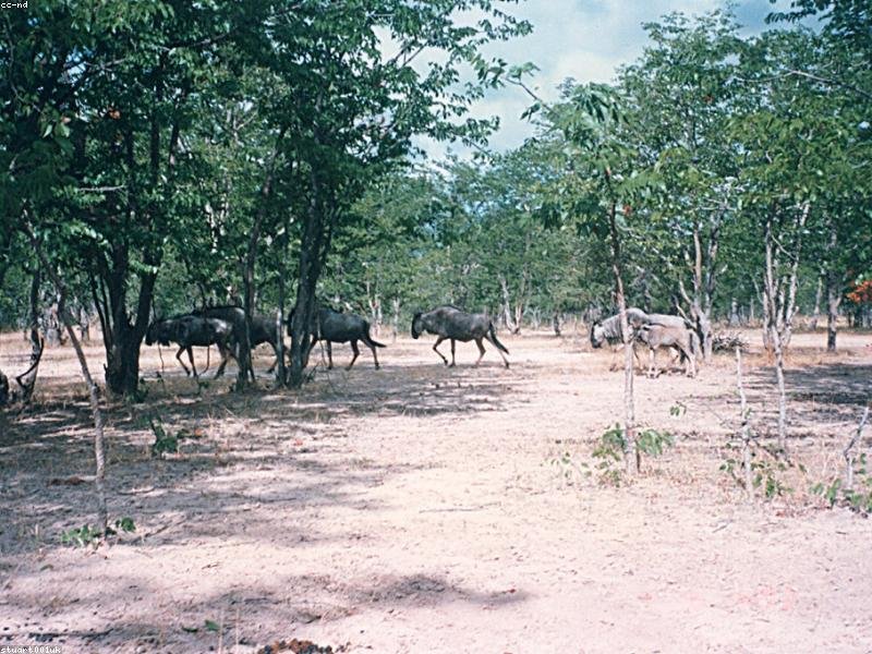 瑞士 UMEF 大學(xué) MBA 適合資產(chǎn)管理管理層 配圖1