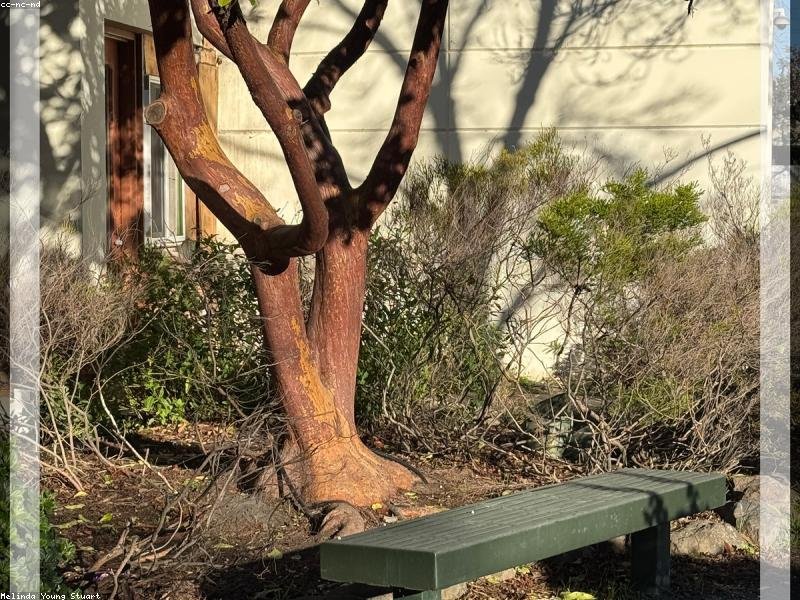 哪些 EMBA 院校支持團(tuán)報(bào)并給予企業(yè)優(yōu)惠？ 配圖3