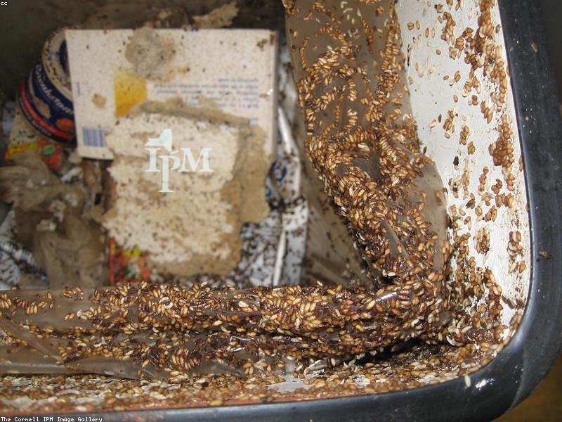 免聯(lián)考 DBA 報(bào)名入口：官方渠道，安全可靠 配圖3