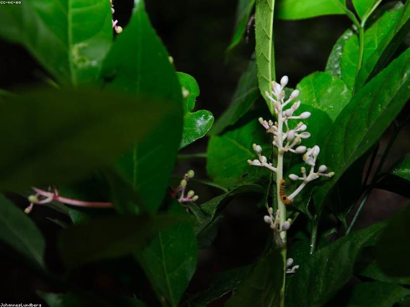 哈佛博士后海外交流，全球校區(qū)互通 配圖1