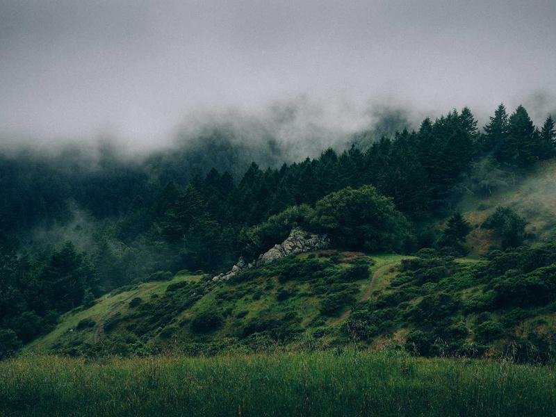 莫大博士后報名要學(xué)歷認(rèn)證嗎？ 配圖1