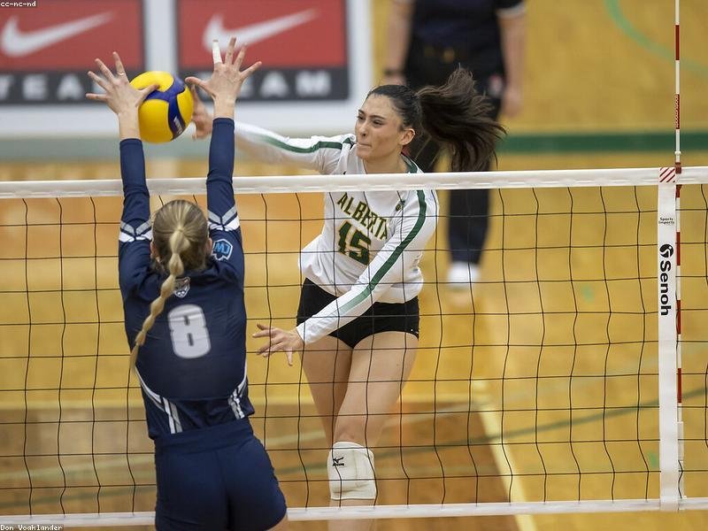 莫大博士后營銷專項班，CMO 專屬 配圖3