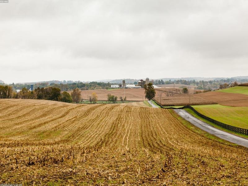 同行內(nèi)卷嚴(yán)重？總裁班幫你建立競爭壁壘 配圖2