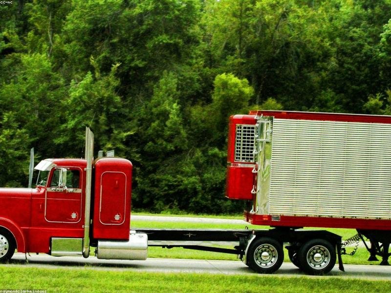 員工培訓(xùn)能提升團(tuán)隊(duì)凝聚力嗎？實(shí)戰(zhàn)案例證明 配圖1