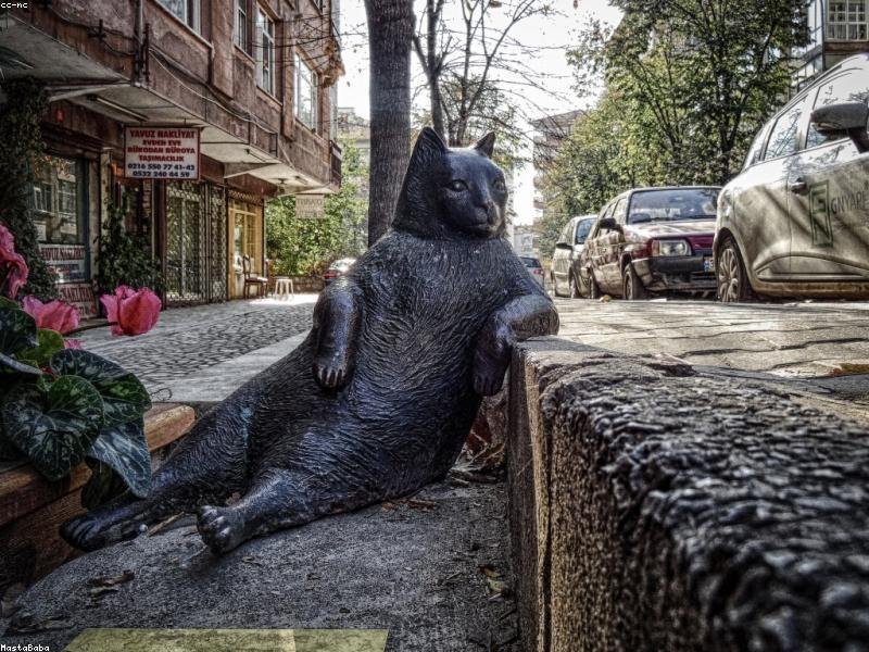 國(guó)際單證 MBA 適合職場(chǎng)晉升嗎？ 配圖2