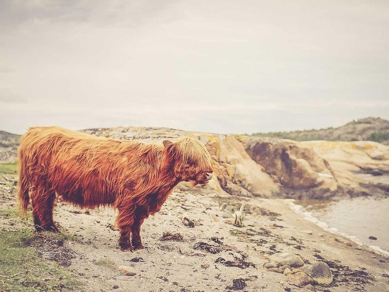 國企認可的 EMBA 院校名單，報考不踩坑 配圖2