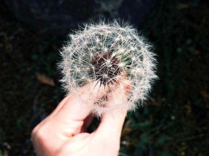 雪蘭多大學組織領(lǐng)導力博士：無需脫產(chǎn)，工作學業(yè)兩不誤 配圖3