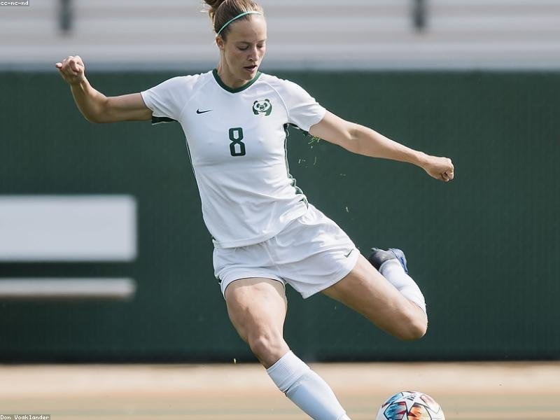 胡安卡洛斯國王大學心理學博士適合心理咨詢師嗎？ 配圖1