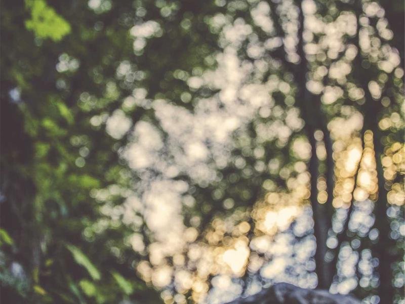 胡安卡洛斯國王大學心理學博士適合心理咨詢師嗎？ 配圖2