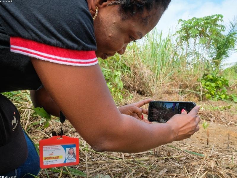 穆?tīng)栁鱽喆髮W(xué) DBA 博士：企業(yè)全球化戰(zhàn)略管理核心課程 配圖1