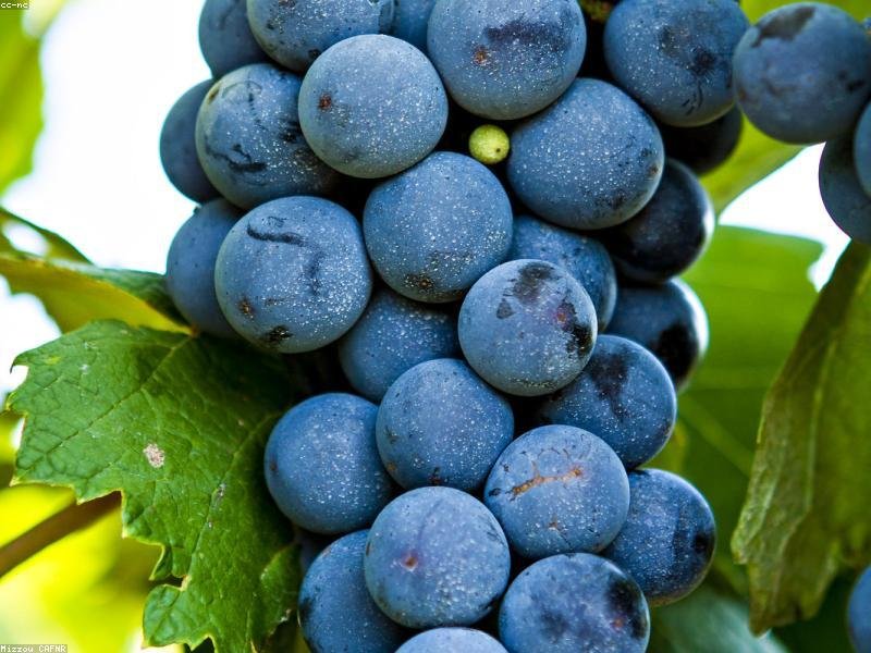 莫斯科國立大學博士后項目名額鎖定留位費政策詳細說明 配圖1