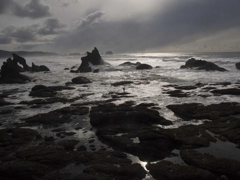 財(cái)務(wù)總監(jiān)培訓(xùn)試聽申請(qǐng)，高端課程私密體驗(yàn) 配圖2