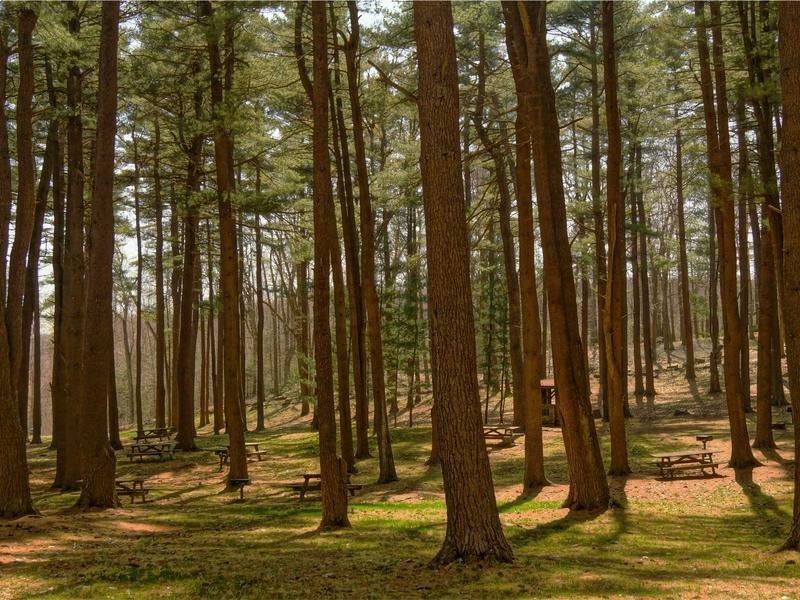 財務總監(jiān)培訓報名條件是什么？資質(zhì)要求詳細說明 配圖3