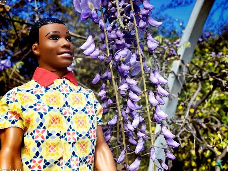 成人本科論文查重率多少算合格？ 配圖1