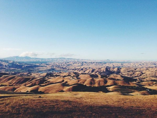 穆爾西亞大學(xué)博士課程有實(shí)戰(zhàn)案例嗎？ 配圖3