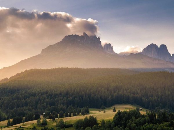 劍橋博士后證書校方可查嗎？驗(yàn)證方法 配圖1