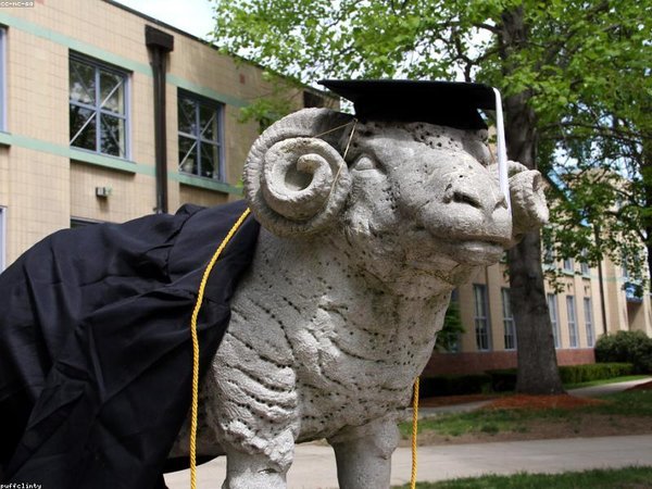 劍橋博士后證書校方可查嗎？驗(yàn)證方法 配圖2