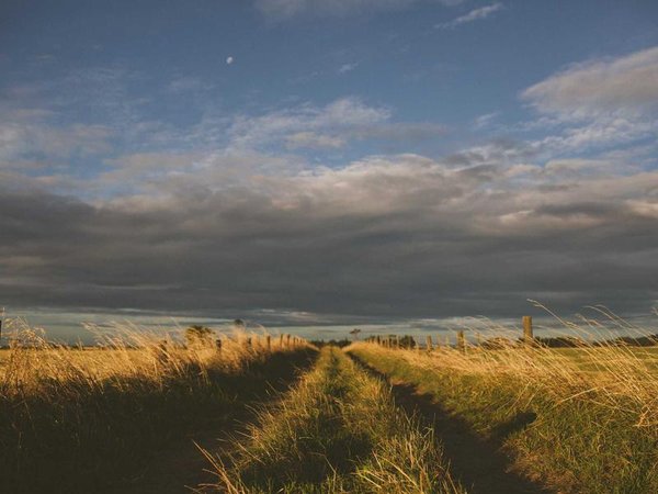 營銷培訓(xùn)線上訓(xùn)練營火爆招生，碎片化時(shí)間高效提升 配圖2