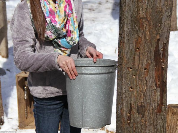 成人本科學位英語考試時間多久？ 配圖3