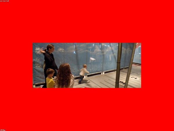 成人高考可以報(bào)本科和專(zhuān)科嗎？ 配圖3