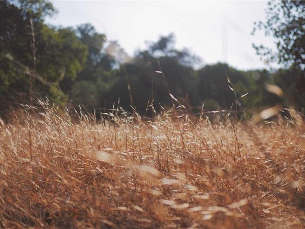 電子商務(wù)師考試是機(jī)考嗎？ 配圖1