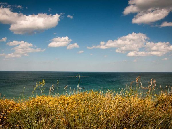 婚姻家庭咨詢師報名需要電子版資料嗎？ 配圖2